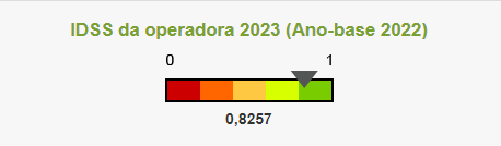 IDSS 2022 - Detalhes